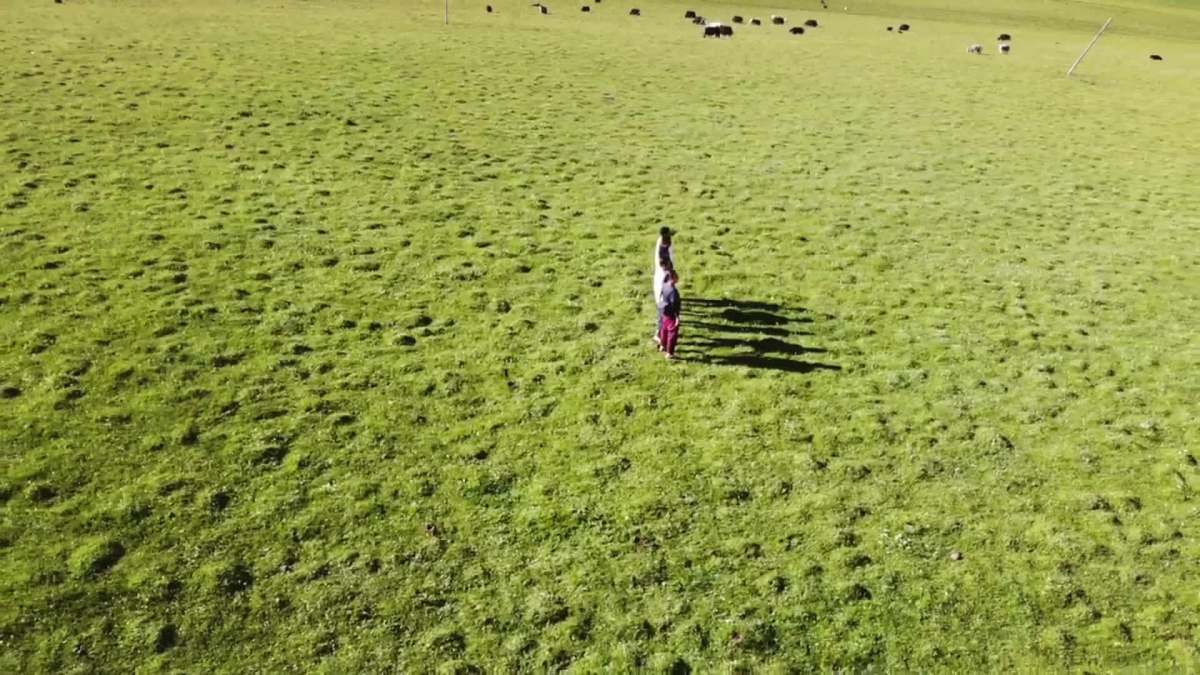 三亿体育手机版