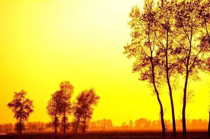 三亿体育手机版