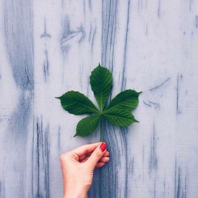 三亿体育手机版