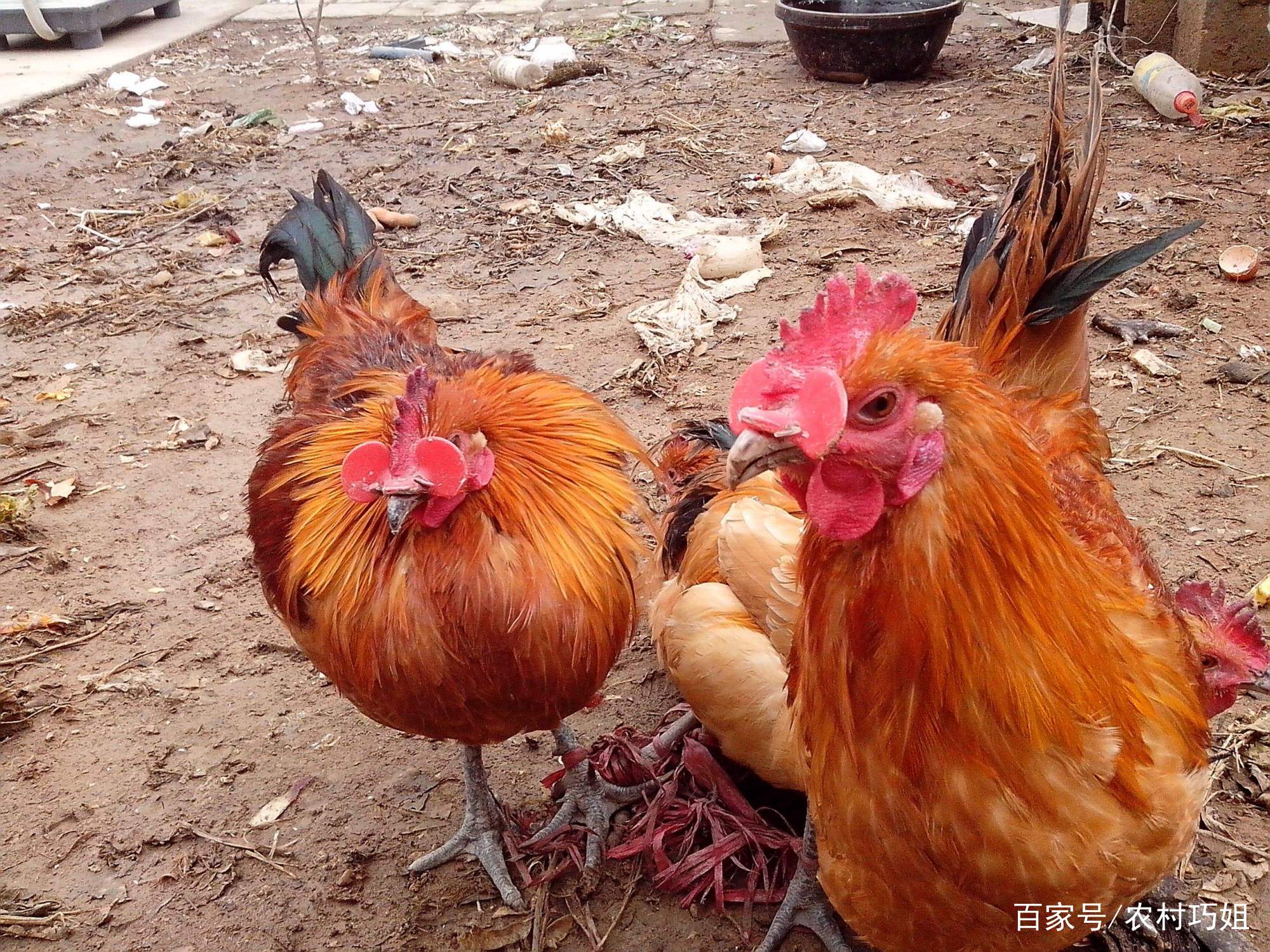 三亿体育手机版