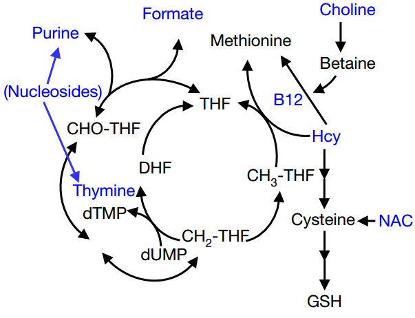 三亿体育手机版