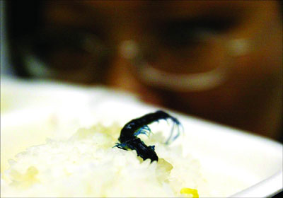 三亿体育手机版