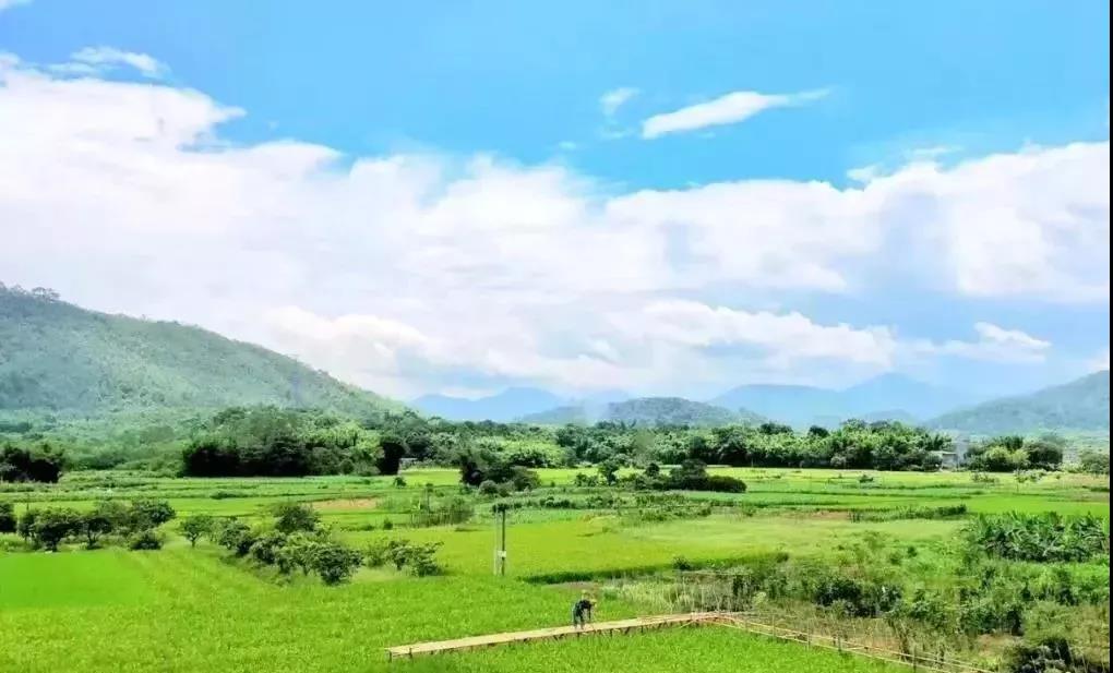 海内这七大专业的对口就业率95%以上，看看有你的吗？‘三亿体