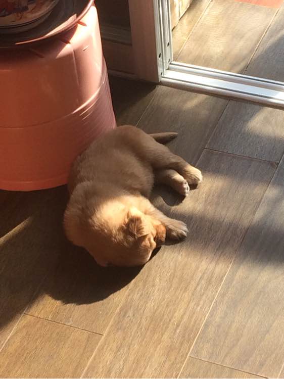 ‘三亿体育官网’*
英才网联观察显示七成结业生认为就业难 薪