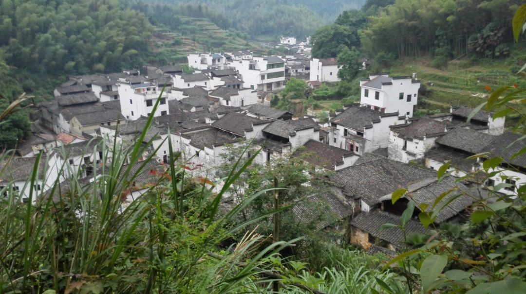 三亿体育手机版