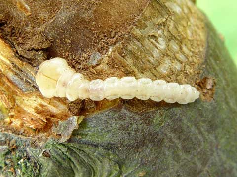 巴士龙门阵:第一届《绝地求生》众仙争霸赛正式开始‘三亿体育手机版’(图3) 三亿体育官网