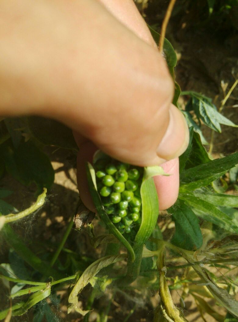 厦成立邮政行业校企合作服务中心 助物流业发展：三亿体育手机版